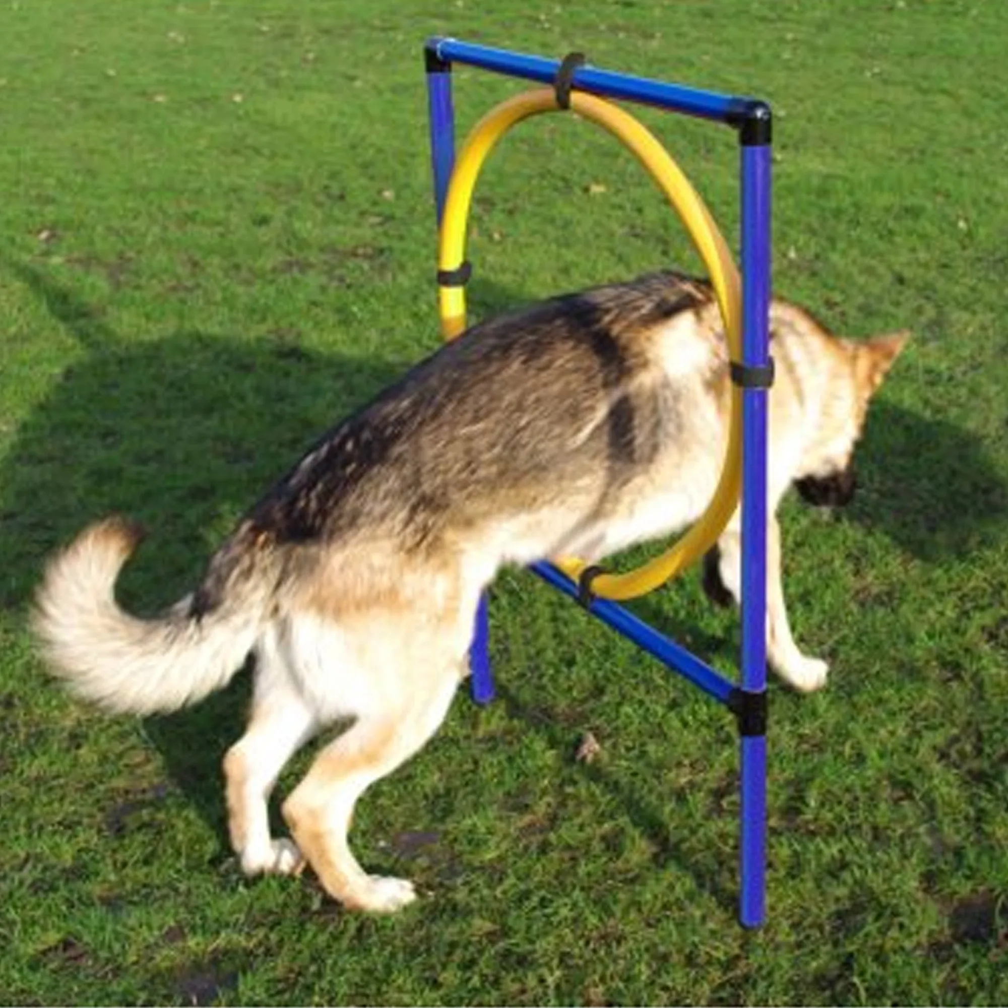 Agility Hoop Jump