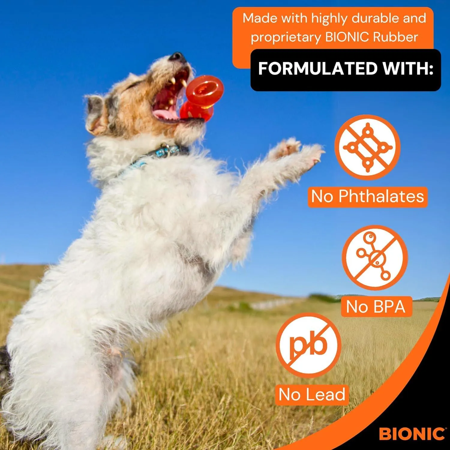 Bionic Rubber Dog Bone