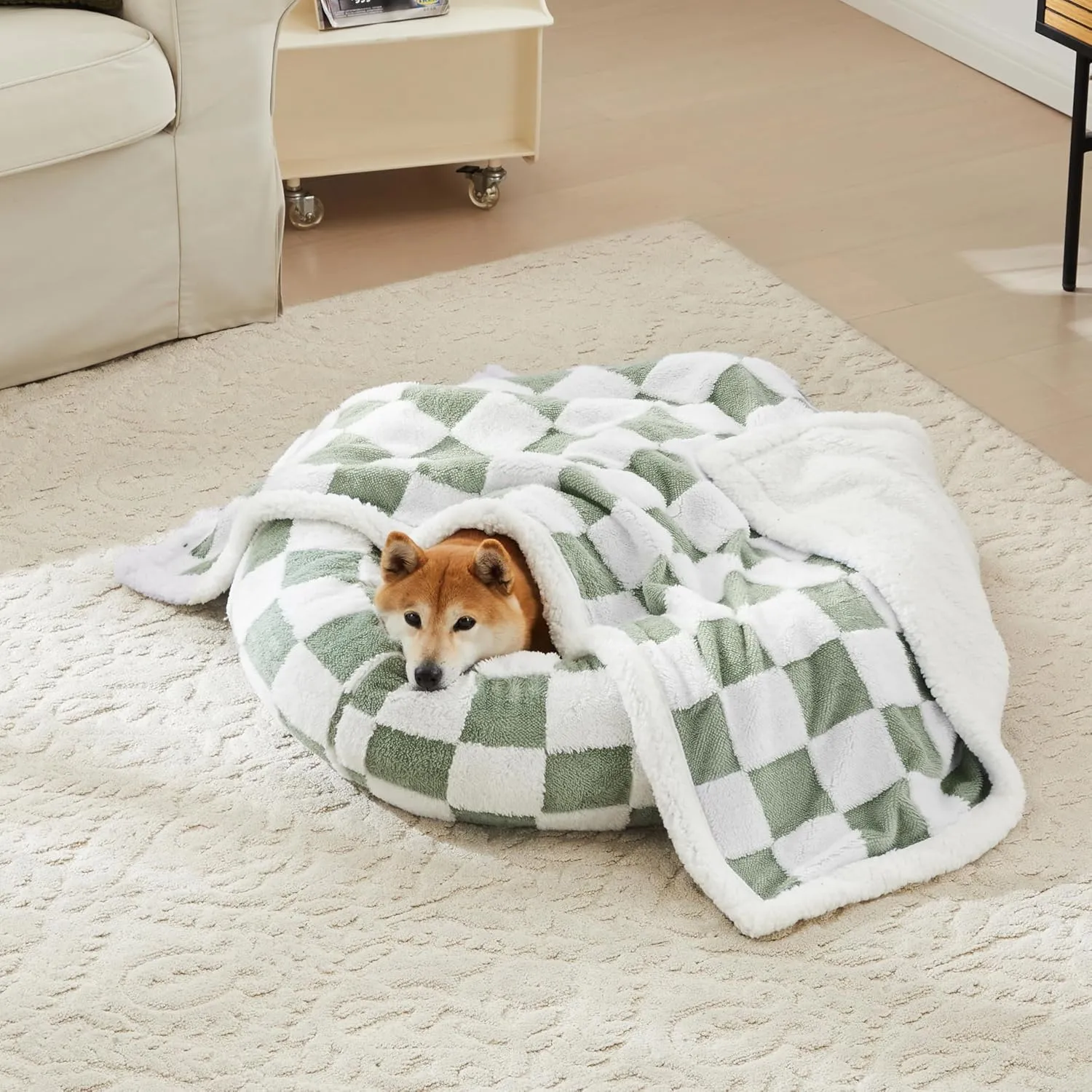 Checkered Dog Blanket, Sage Green Jacquard Sherpa Blankets for Small Dog and Cats, Cute Aesthetic Style Fluffy Fleece Pets Blanket for Couch Protection Washable, 25"x35"