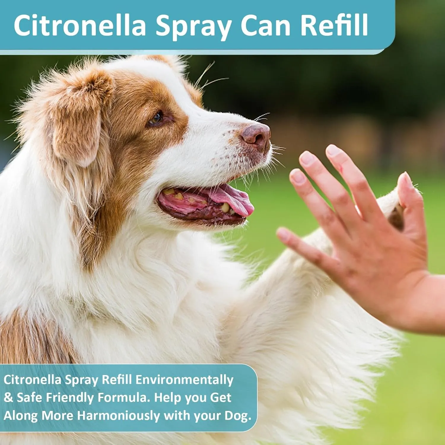 Citronella Spray Refill 85g 1 Pack (3OZ) Can for Citronella Spray Dog Bark Control Collars and Remote Trainers, Citronella Dog Collar Refill