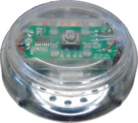 Custom Easy Button Transparent - The ONLY See Through Recordable Talking Button Record