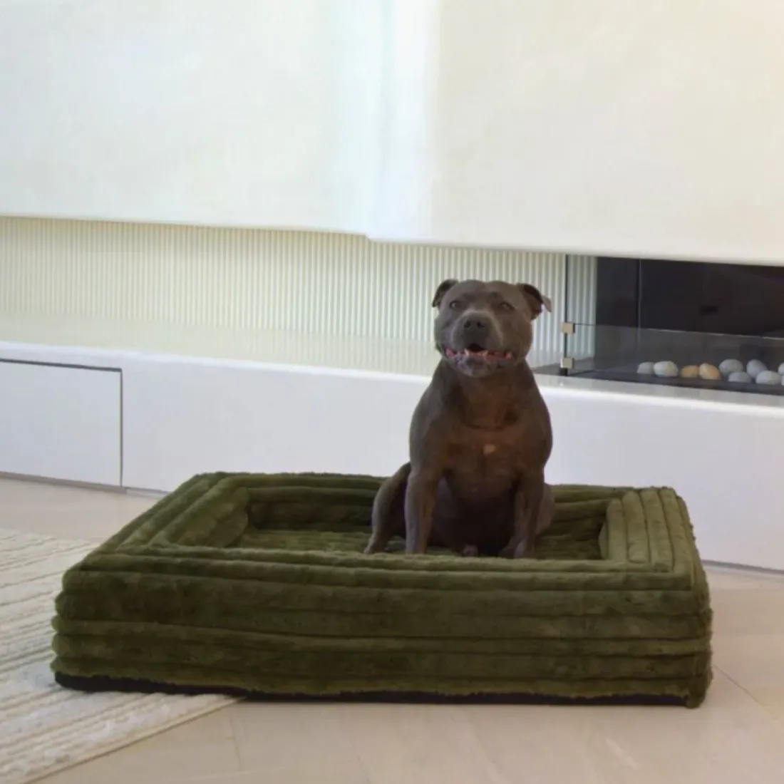 Dazy Dog Orthopedic Memory Foam Dog Bed Puffer Fern