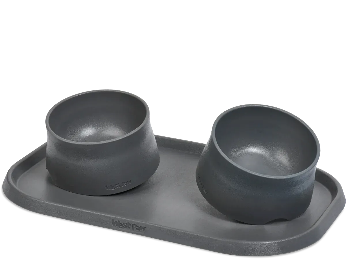 Dog Food and Drink Non-slip Eco Sustainable Bowl: Seaflex Sea Fog