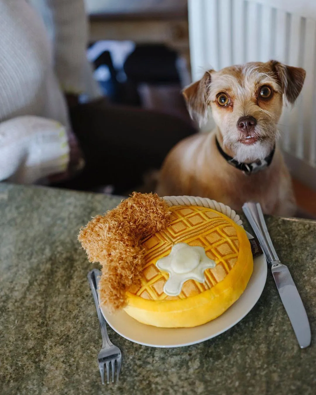 Dog Plush Toy - Barking Brunch Collection