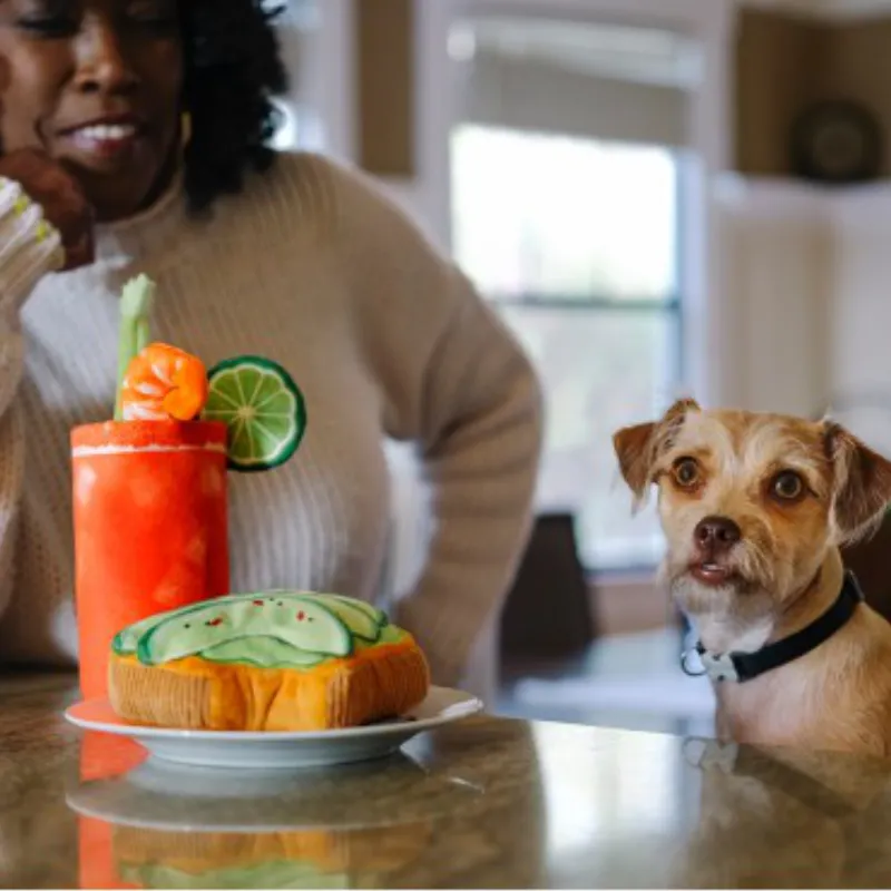 Dog Plush Toy - Barking Brunch Collection
