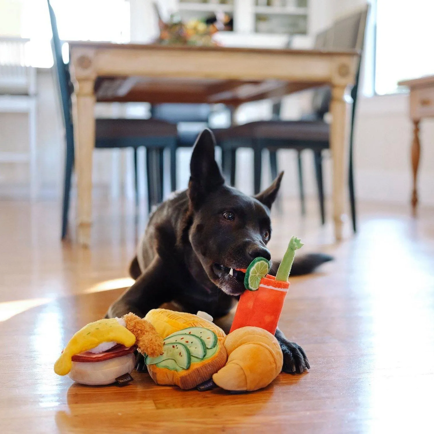 Dog Plush Toy - Barking Brunch Collection