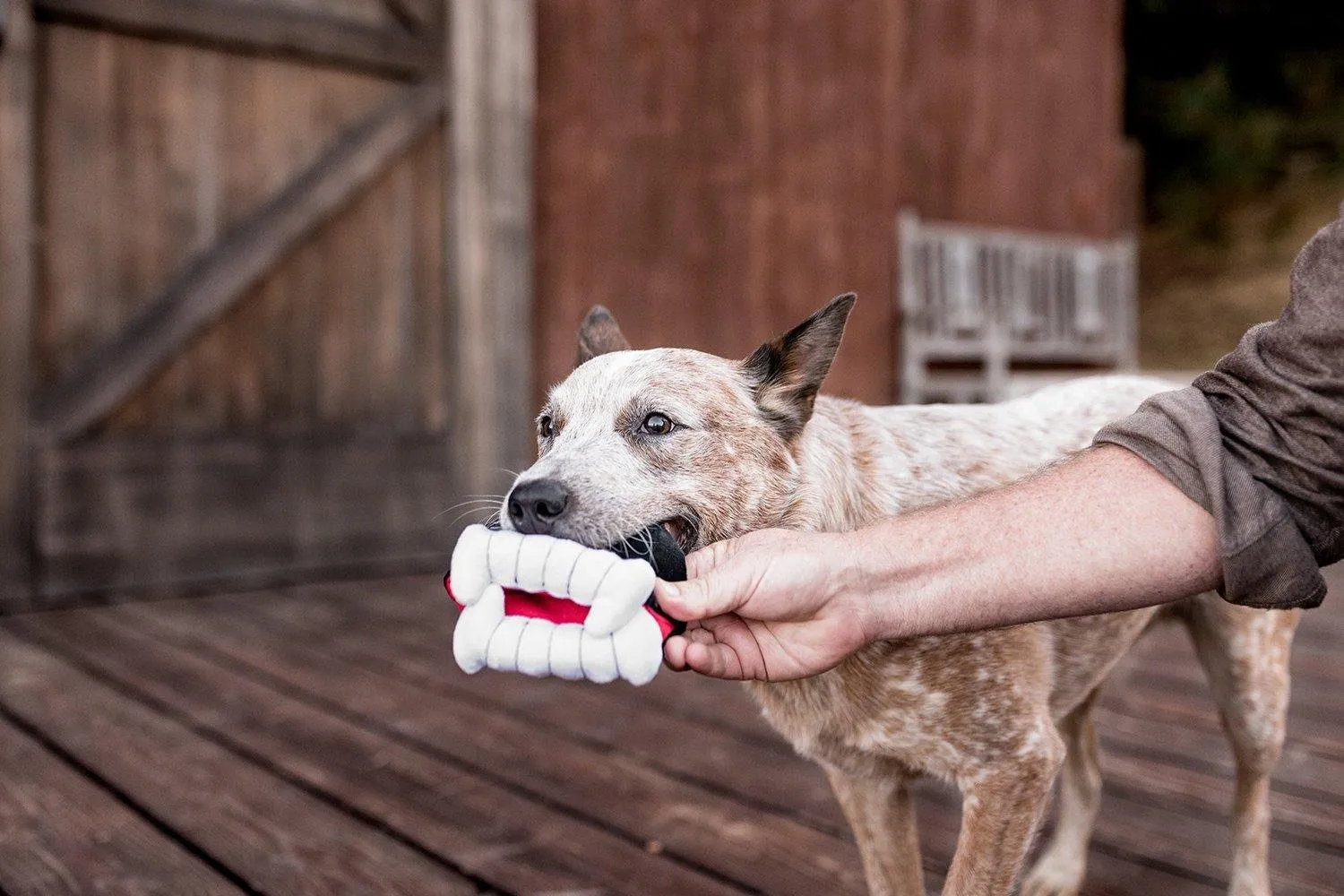 Dog Plush Toy - Howling Haunts Collection