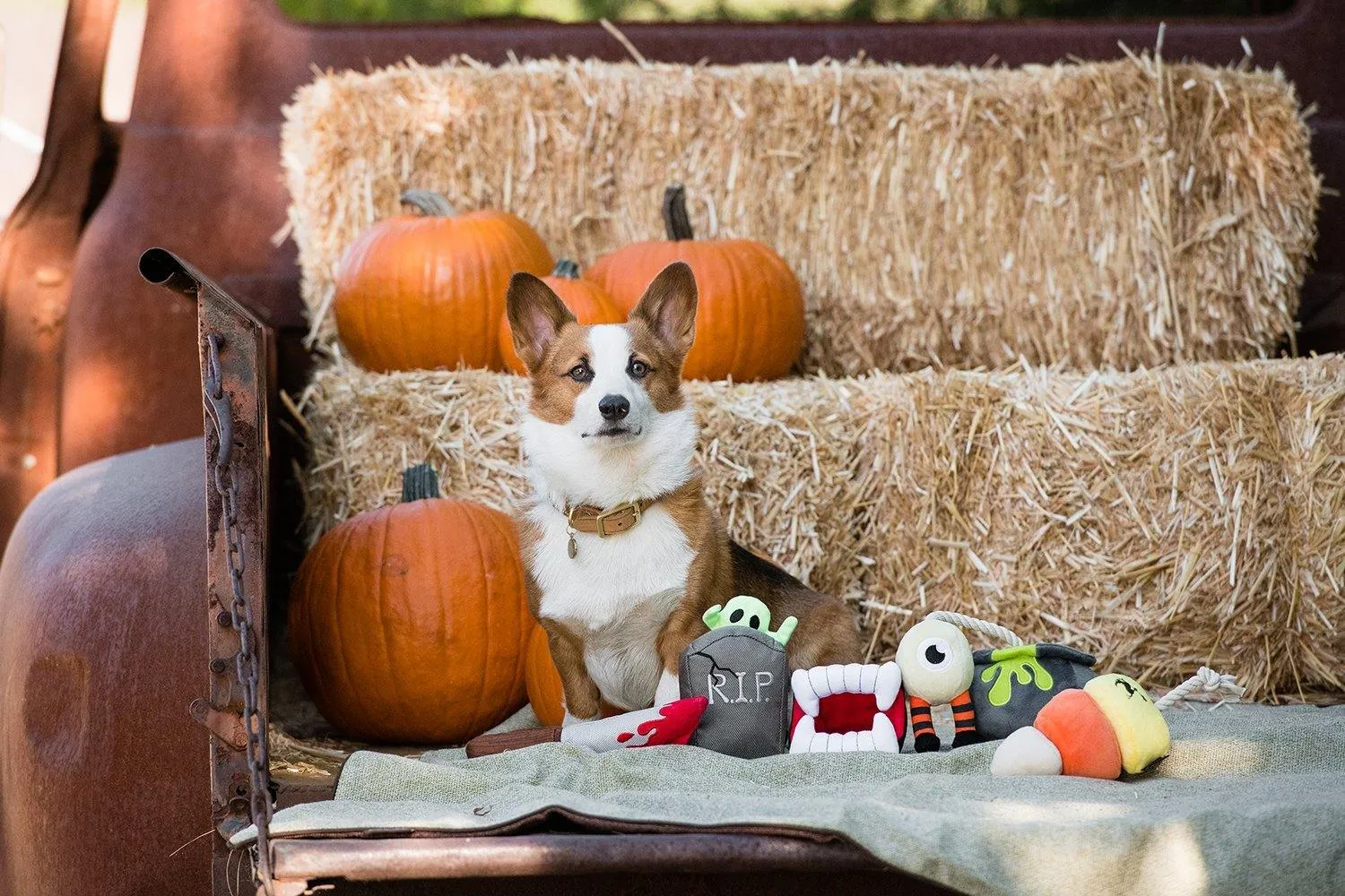 Dog Plush Toy - Howling Haunts Collection