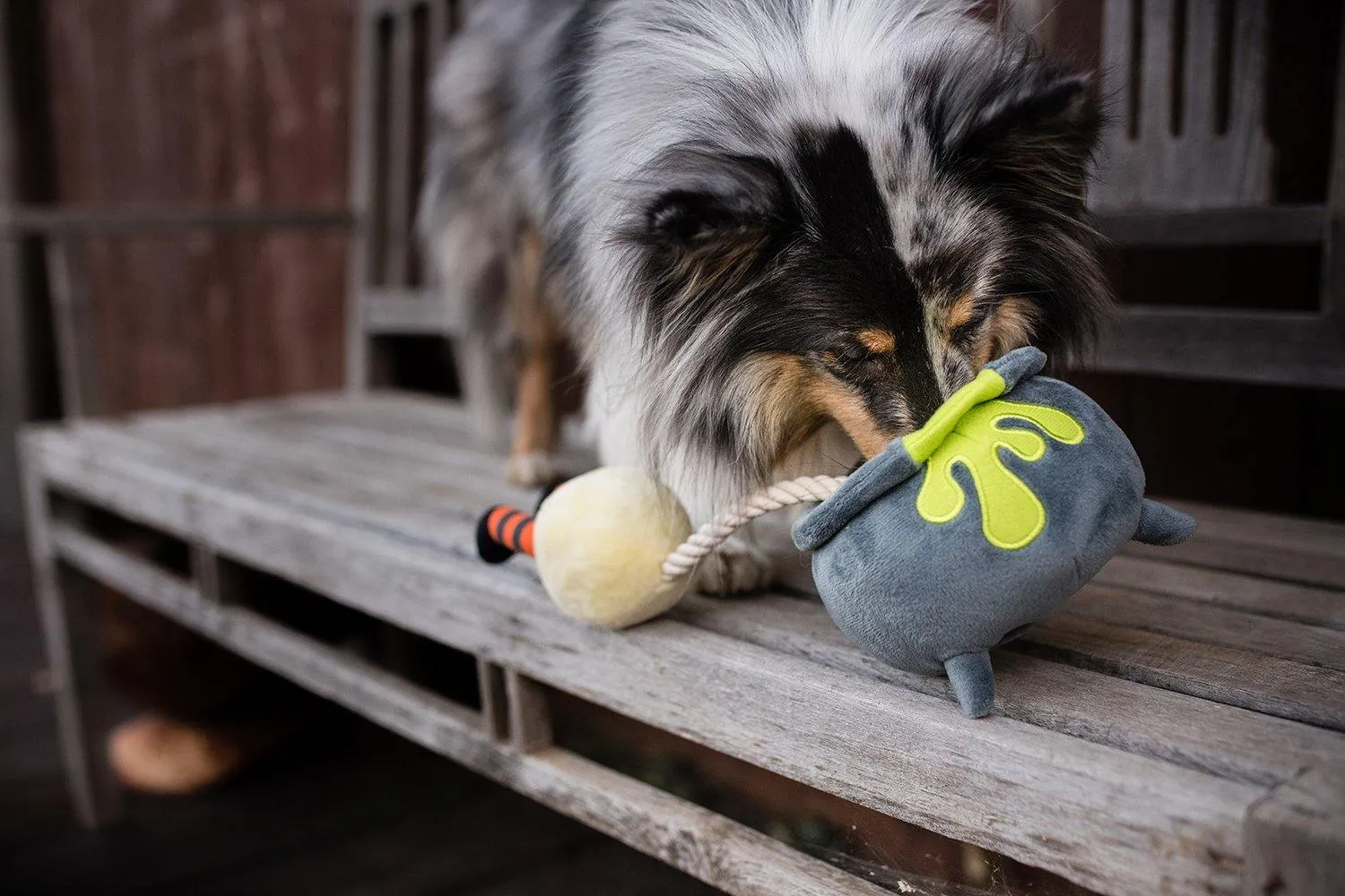 Dog Plush Toy - Howling Haunts Collection