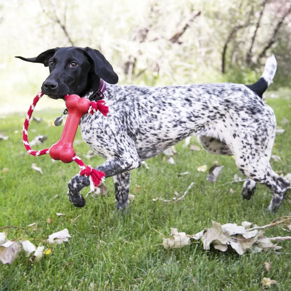 KONG®Goodie Bone™ with Rope