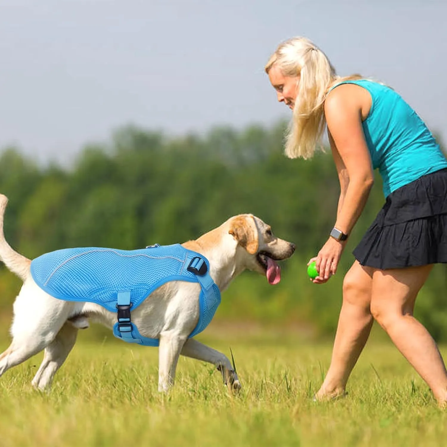 Kuoser Dog Cooling Vest Harness, Large Dog Cooler Jacket with Adjustable Buckle for Outdoor Beach, Hiking, Training Blue XL