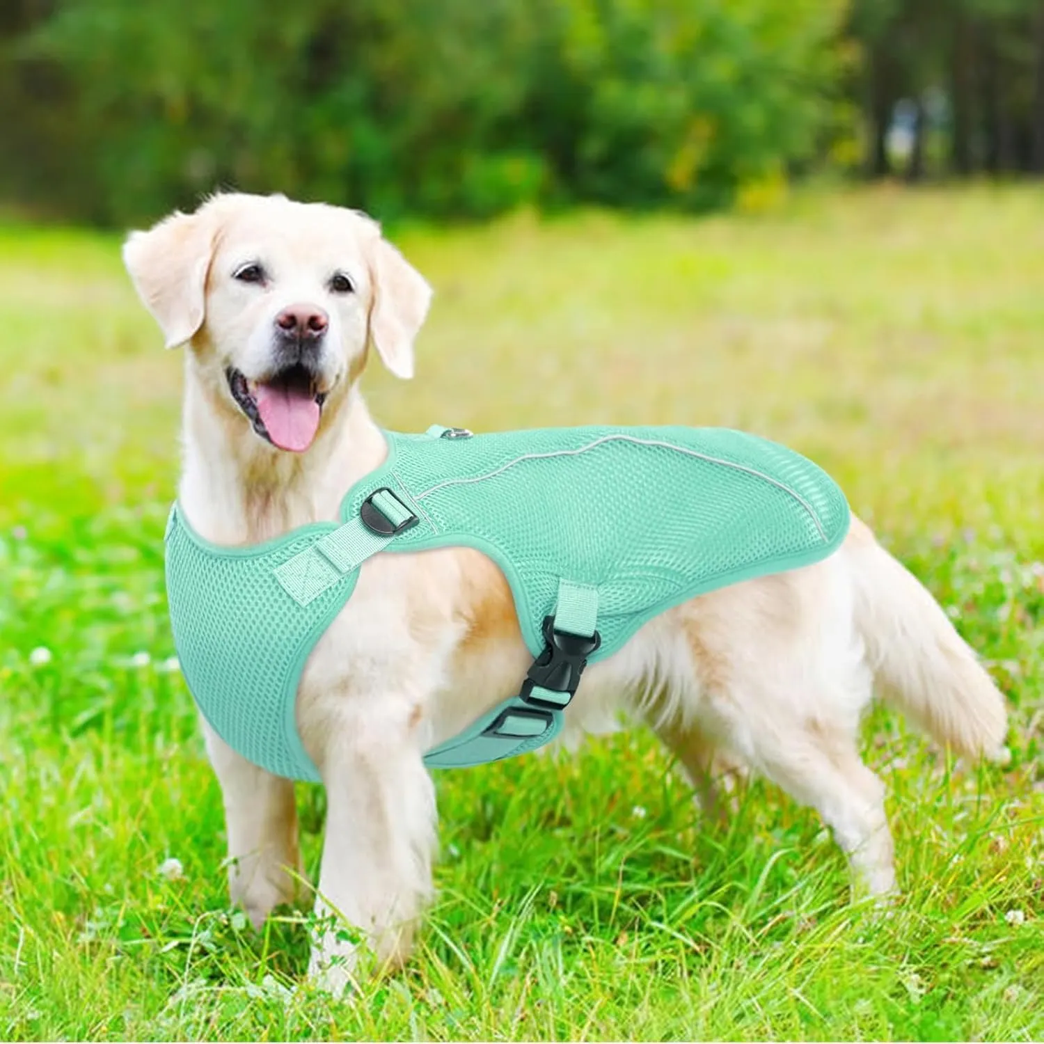 Kuoser Dog Cooling Vest Harness, Small Dog Cooler Jacket with Adjustable Buckle for Outdoor Beach, Hiking, Training Green M