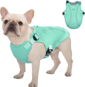 Kuoser Dog Cooling Vest Harness, Small Dog Cooler Jacket with Adjustable Buckle for Outdoor Beach, Hiking, Training Green M