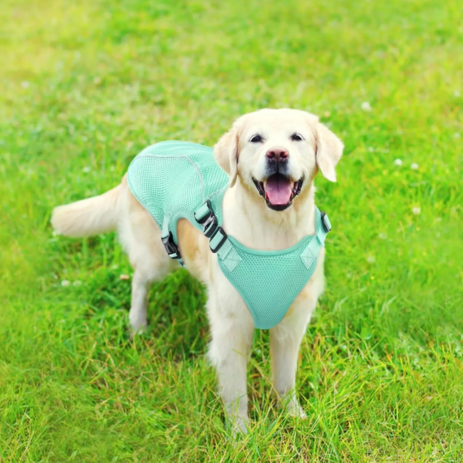 Kuoser Dog Cooling Vest Harness, Small Dog Cooler Jacket with Adjustable Buckle for Outdoor Beach, Hiking, Training Green M