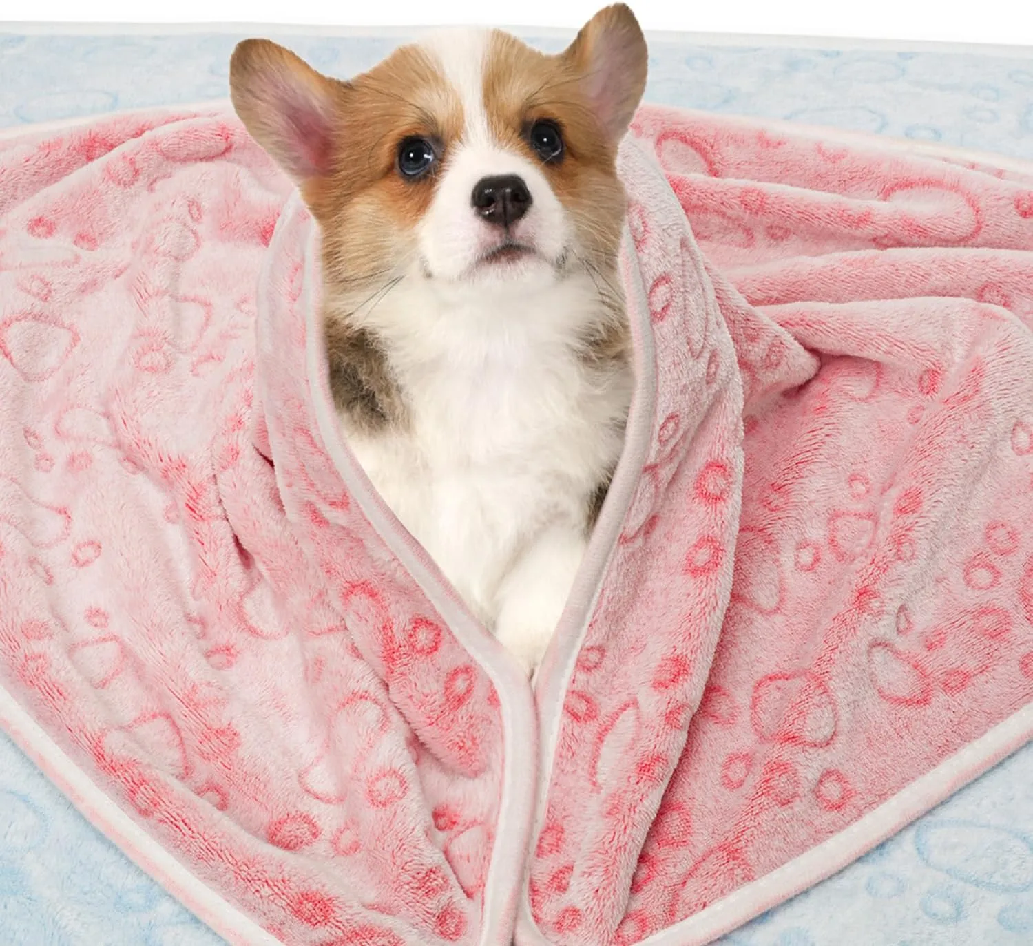 LeapSheep Pet Blankets for Dogs Cats - 3Pack Heart Pattern Super Soft Fluffy Dog Blankets for Small Medium Large Doggy Kitten (Light, Large)