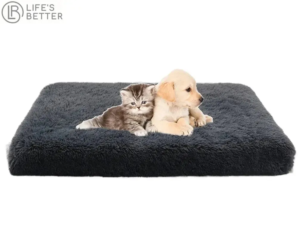 Luxury Orthopedic Memory Foam Dog Bed