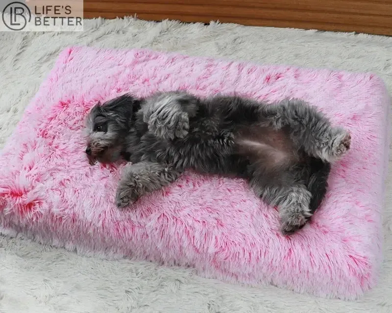 Luxury Orthopedic Memory Foam Dog Bed