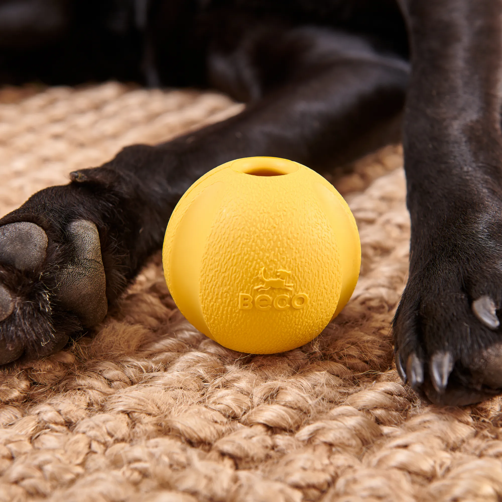 Natural Rubber Fetch Ball