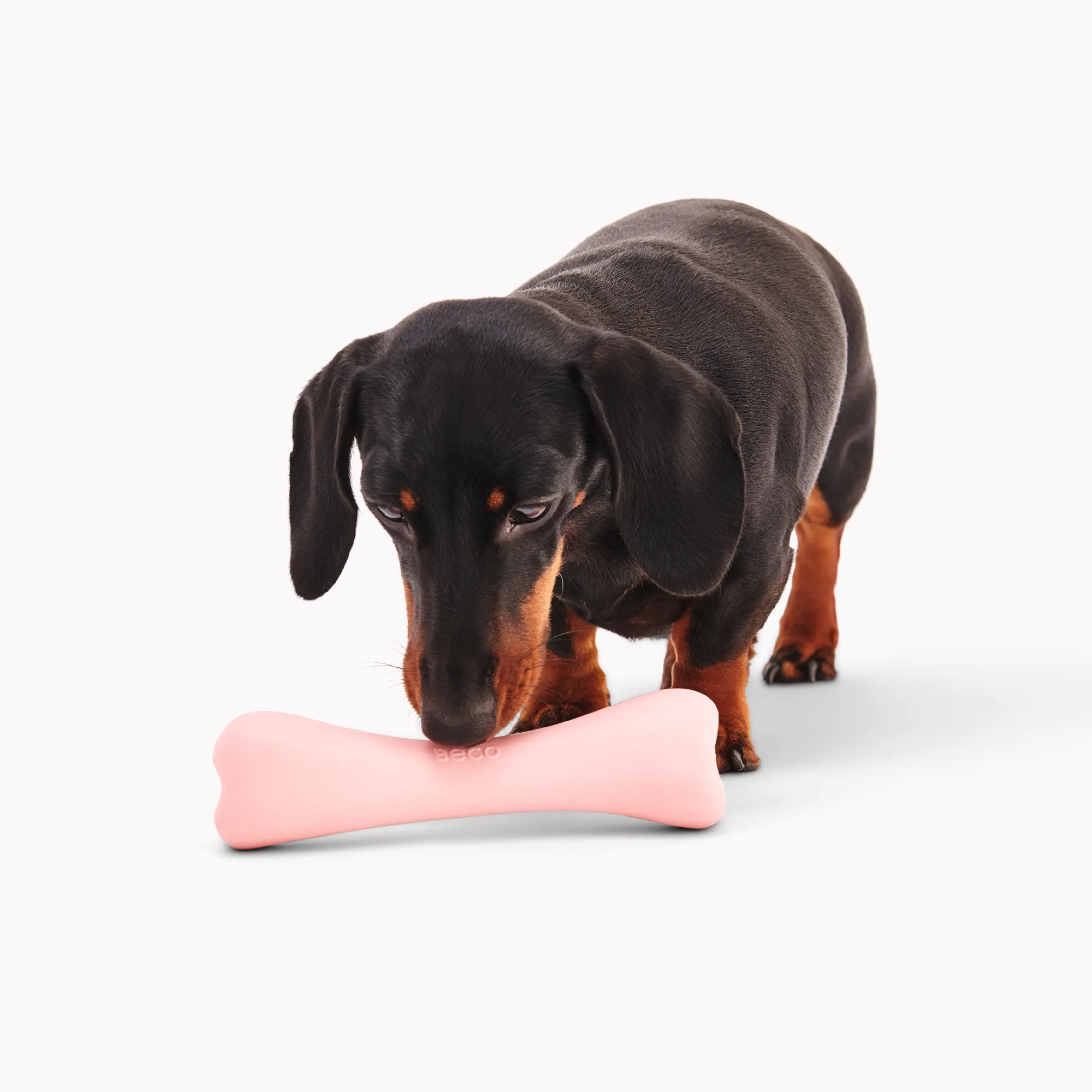 Natural Rubber Treat Bone