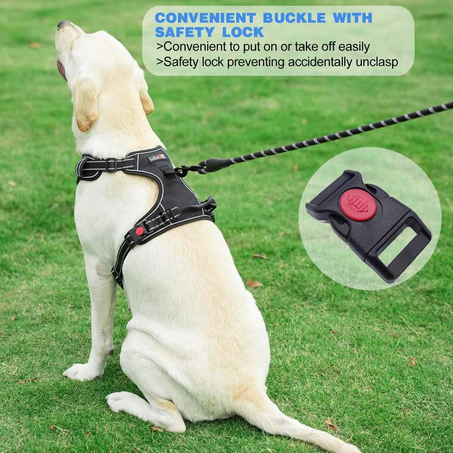No Pull Dog Harness Adjustable Reflective Oxford Easy Control Medium Large Dog Harness with A Free Heavy Duty 5ft Dog Leash (M (Neck: 14.5"-20.5", Chest: 22"-28"), Black Harness Leash)