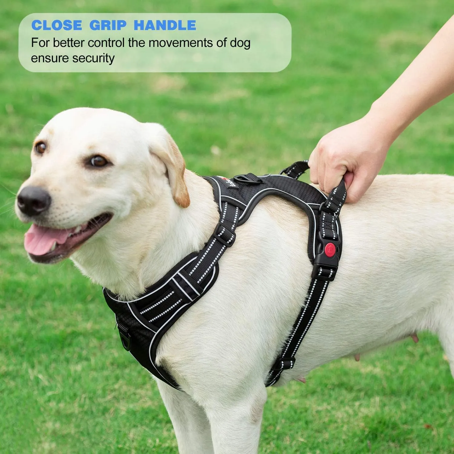 No Pull Dog Harness Adjustable Reflective Oxford Easy Control Medium Large Dog Harness with A Free Heavy Duty 5ft Dog Leash (M (Neck: 14.5"-20.5", Chest: 22"-28"), Black Harness Leash)