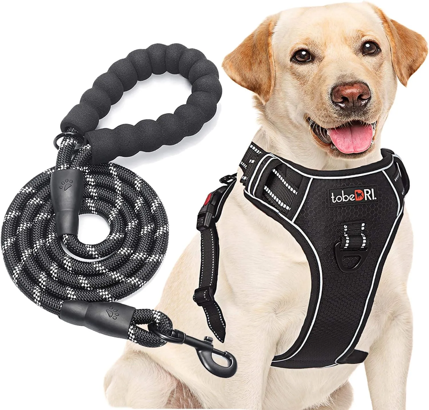 No Pull Dog Harness Adjustable Reflective Oxford Easy Control Medium Large Dog Harness with A Free Heavy Duty 5ft Dog Leash (M (Neck: 14.5"-20.5", Chest: 22"-28"), Black Harness Leash)