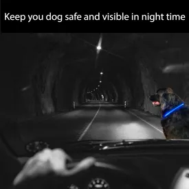Pack of 2 LED Dog Collar of 13" in Circumference -USB Rechargeable Flashing Light UP Safety Collar, Pet Glowing Collar for Walking- Fashionable Glow for Dog LED Night Safety Necklace