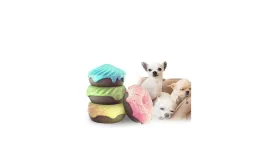 Pet Odor Remover Kit
