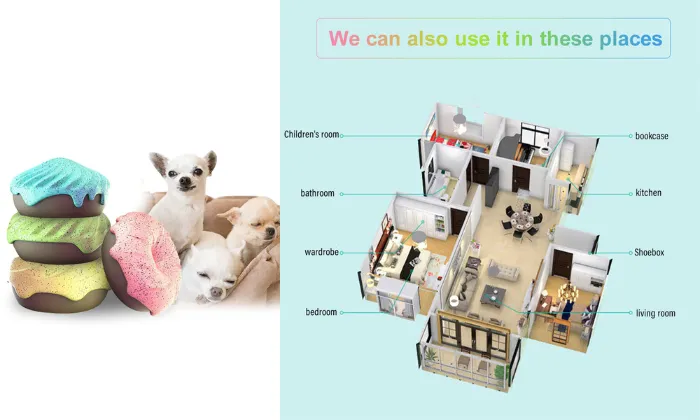Pet Odor Remover Kit