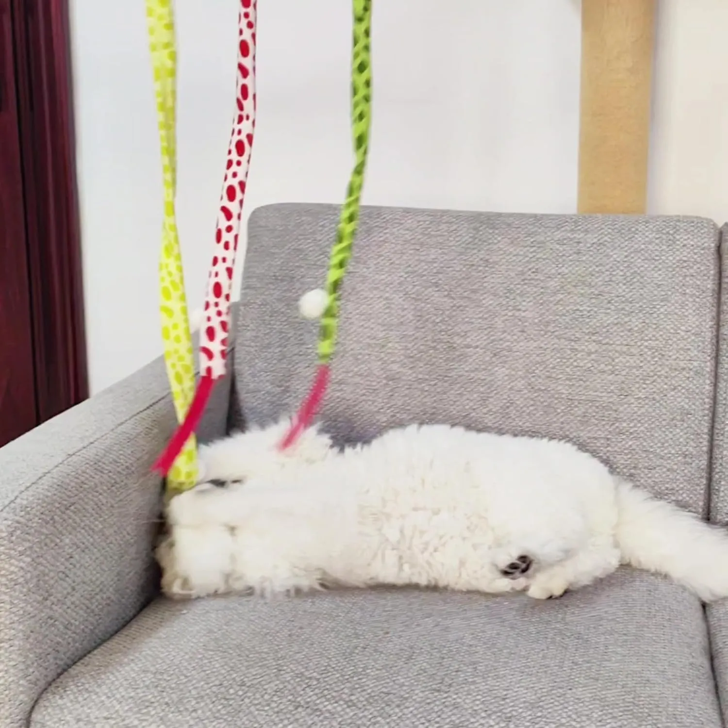 PetPhindU Cat Teaser Wand Toy for Indoor Cats, Cute Mesh Snake & Crinkle Plush Fabric Kitten Wand Kitty Toys Interactive Play Chase Exercise Wand String Toys Cat Toys (16.14 29.13inch,Red)