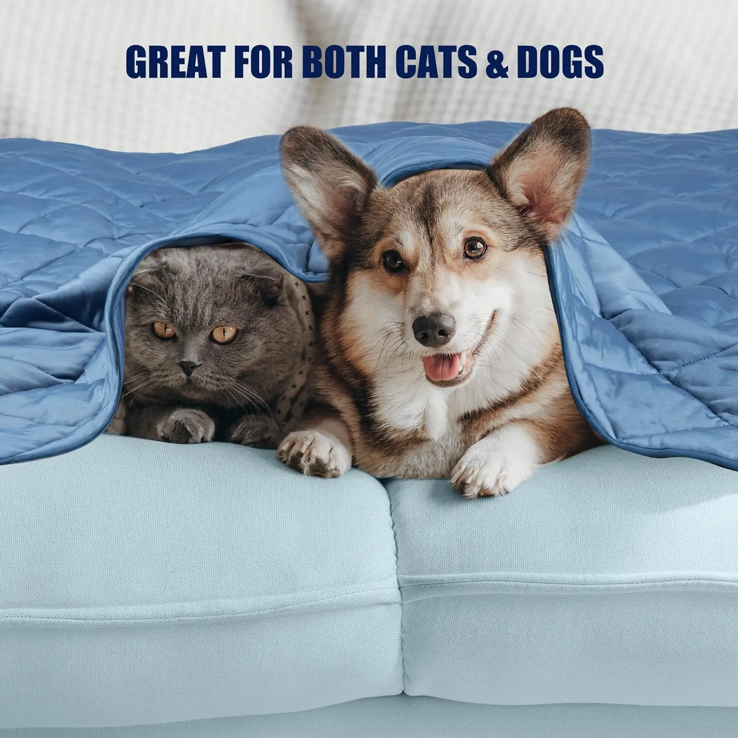 Premium Cooling Blanket for Dogs Pet Cooling Pads Washable Pet Cool Mat for Cats Hot Weather Puppy Lightweight Throw Calming Pad(40x60 inches)