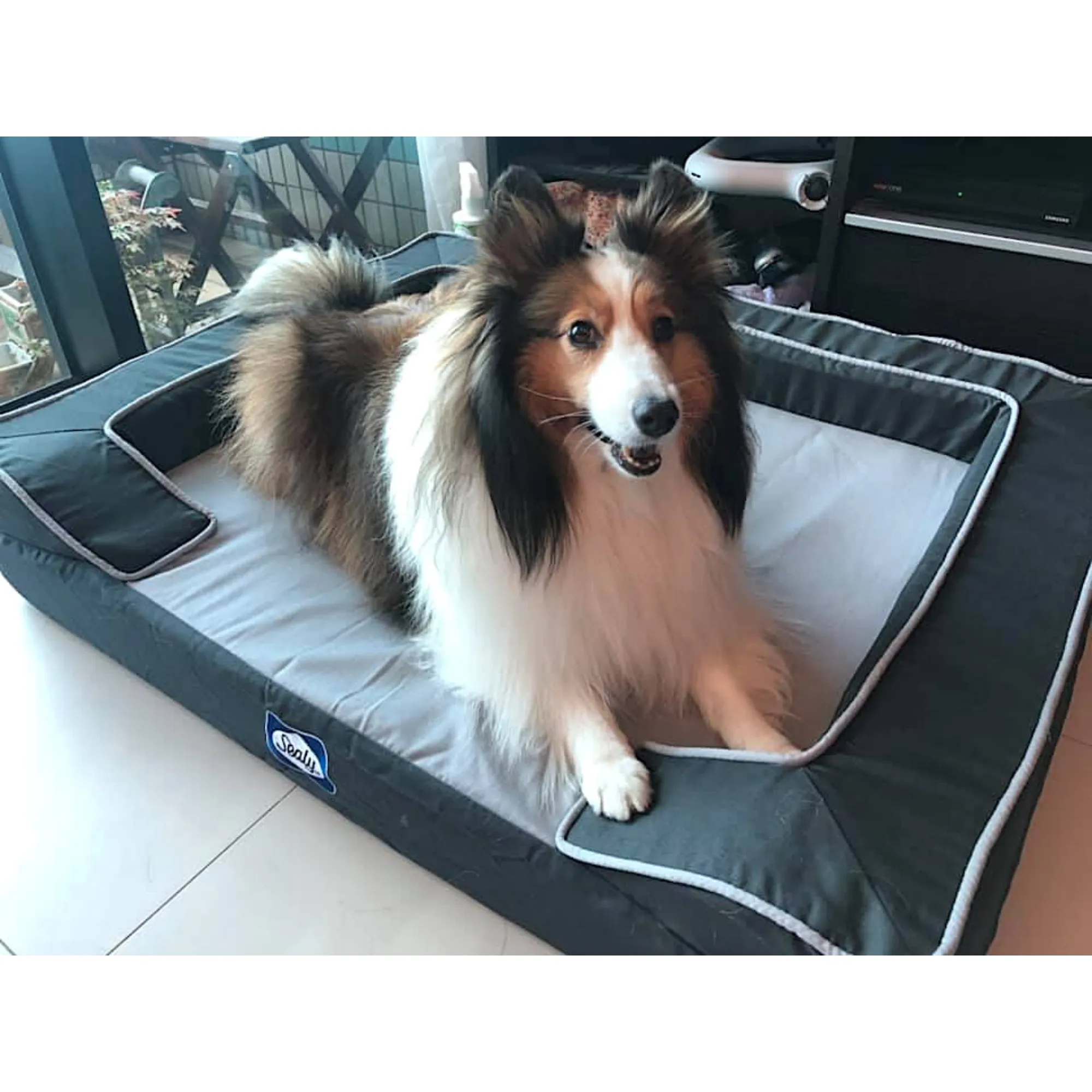 SEALY Lux Premium Memory Foam Dog Bed