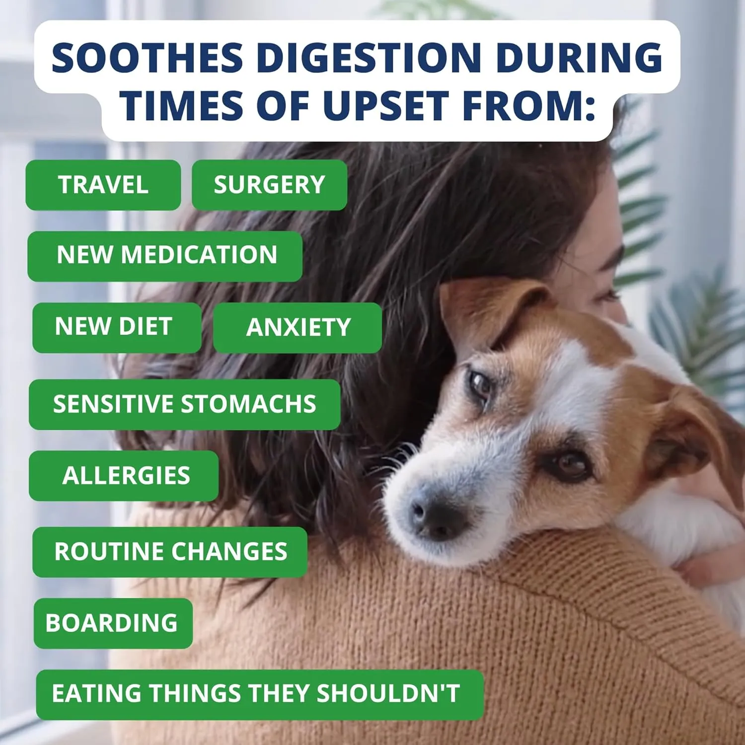 Under the Weather Bland Diet for Dogs | Easy to Digest for Sick Dogs | Always Be Ready | Contains Electrolytes - Natural Freeze Dried 100% Human Grade Meats| 2 Pack- Rice, Hamburger & Bone Broth - 6oz