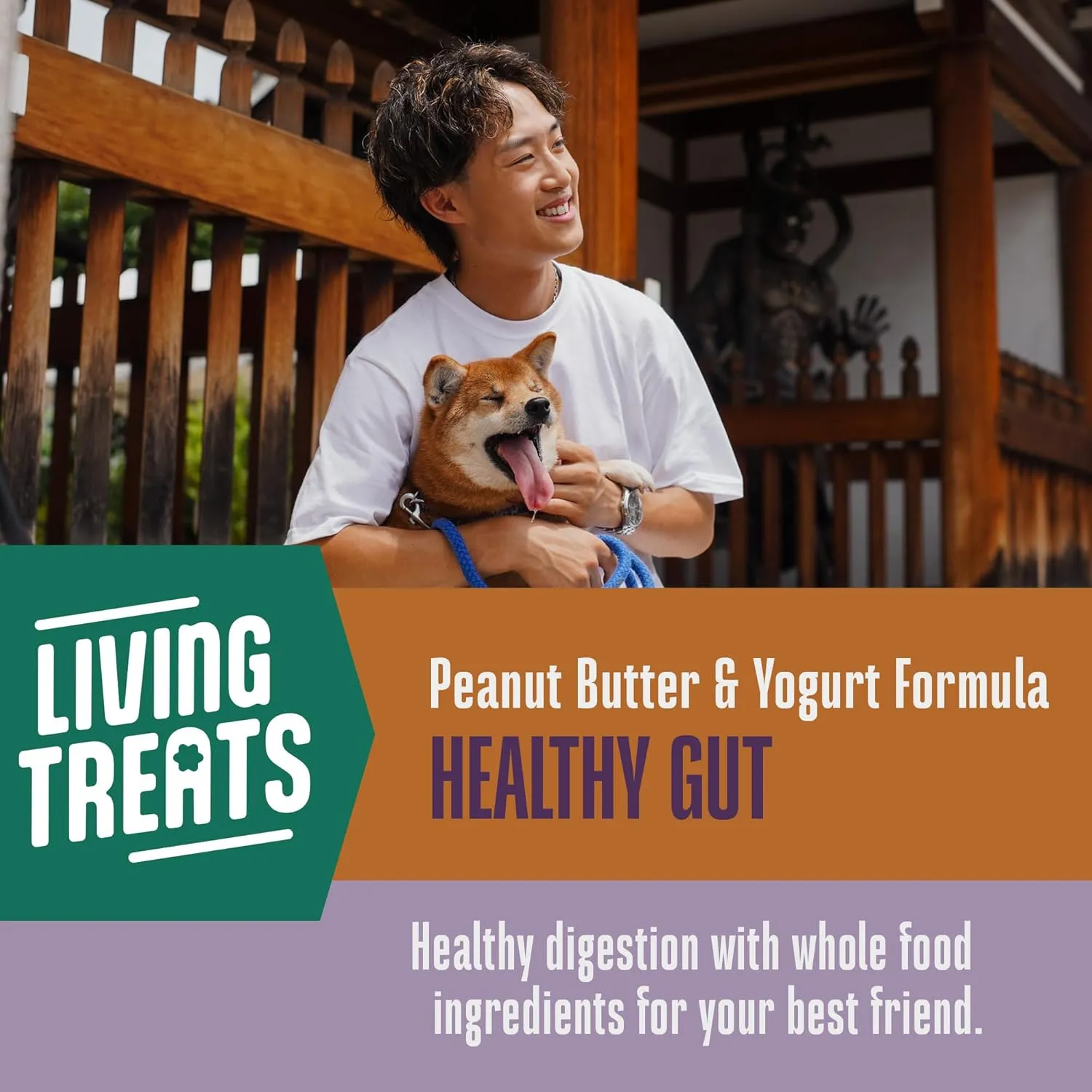 Whole Life Dog Living Treats for Dogs  Human Grade Probiotics for Digestive & Gut Health, Gas, Diarrhea, Vomit & Constipation Relief, Health Supplies - Peanut Butter, 12 oz (Pack of 1)
